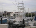JUPITER J31, Utilizado, barcos en Venta, Estados Unidos, Jupiter, Florida